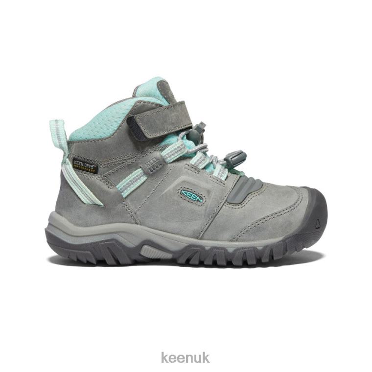 Footwear KEEN Ridge Flex Waterproof Boot Grey/Blue Tint Little Kids Z2D88906