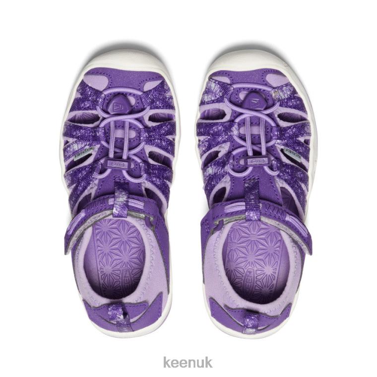 Footwear KEEN Moxie Sandal Multi/English Lavender Little Kids Z2D88962