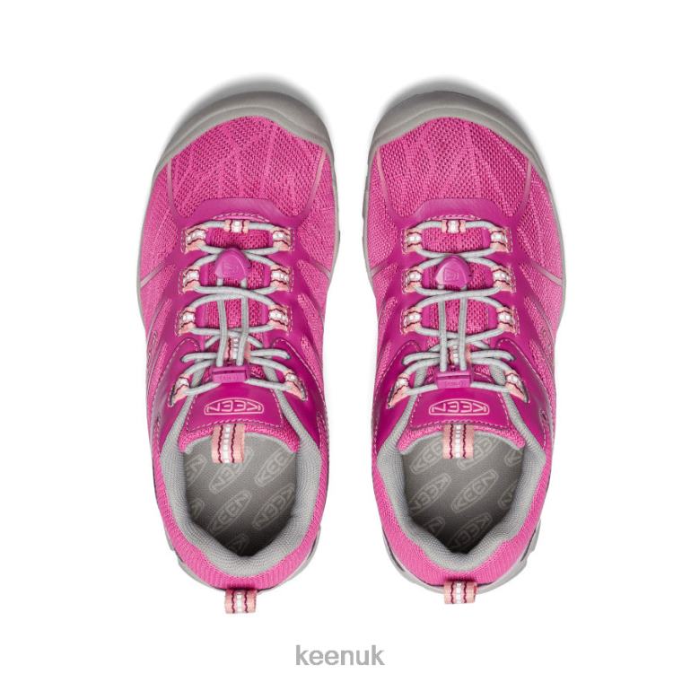 Footwear KEEN Chandler 2 CNX Sneaker Festival Fuchsia/Ibis Rose Big Kids Z2D88883