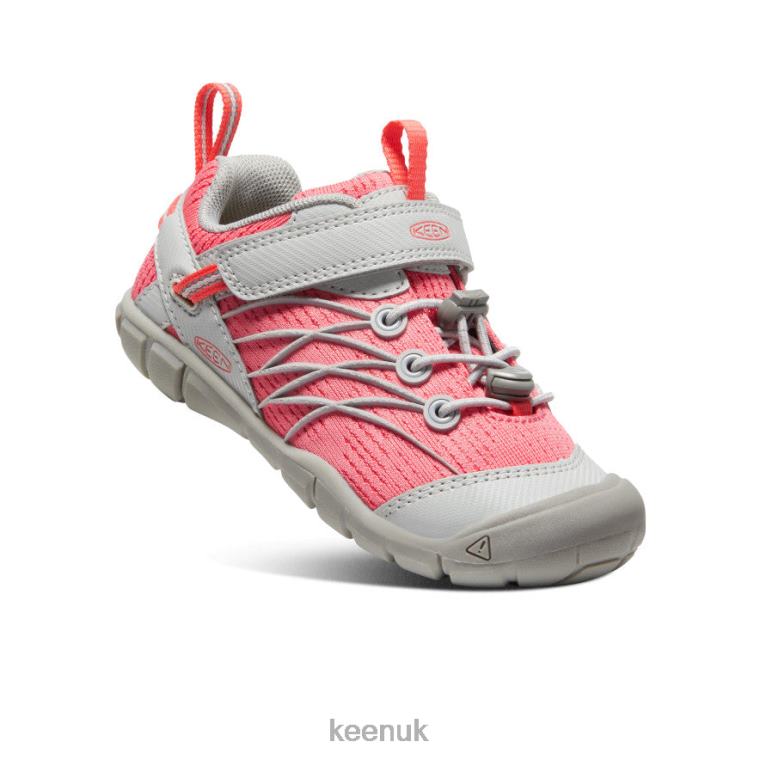 Footwear KEEN Chandler CNX Drizzle/Dubarry Little Kids Z2D88889