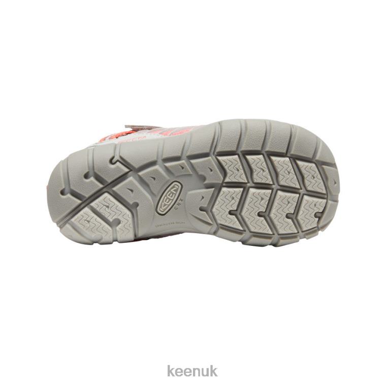 Footwear KEEN Chandler CNX Drizzle/Dubarry Little Kids Z2D88889