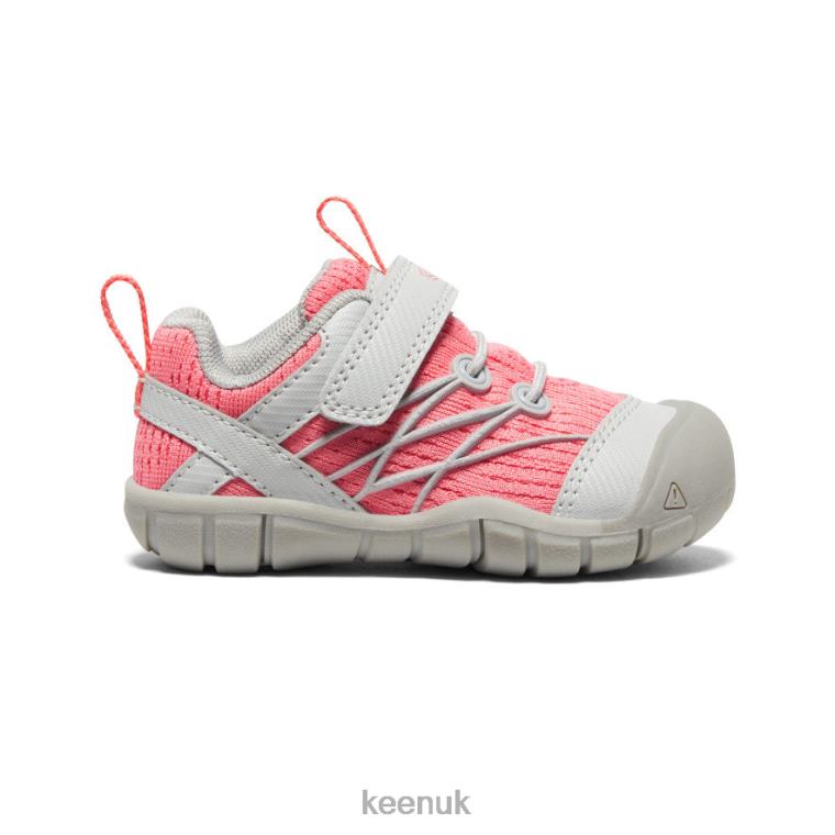 Footwear KEEN Chandler CNX Drizzle/Dubarry Toddlers Z2D88900