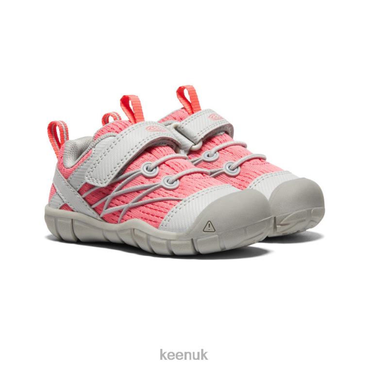 Footwear KEEN Chandler CNX Drizzle/Dubarry Toddlers Z2D88900