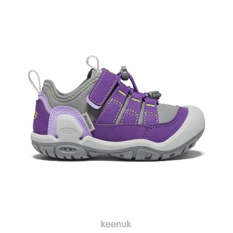 Footwear KEEN Knotch Hollow Sneaker Tillandsia Purple/Evening Primrose Little Kids Z2D88891