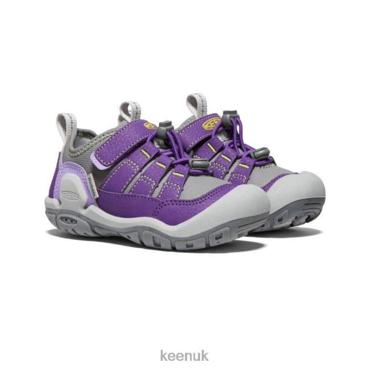 Footwear KEEN Knotch Hollow Sneaker Tillandsia Purple/Evening Primrose Little Kids Z2D88891