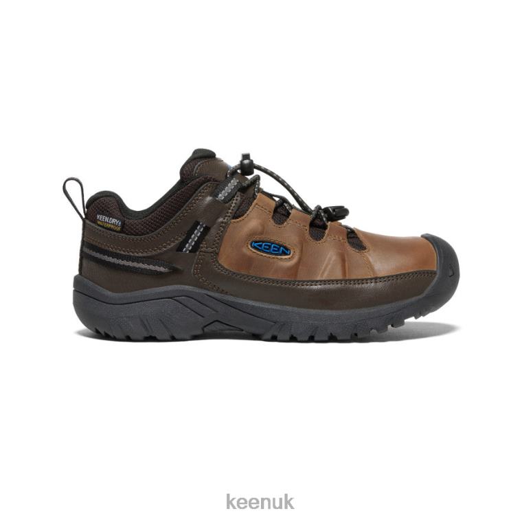 Footwear KEEN Targhee Waterproof Shoe Coffee Bean/Bison Big Kids Z2D88841