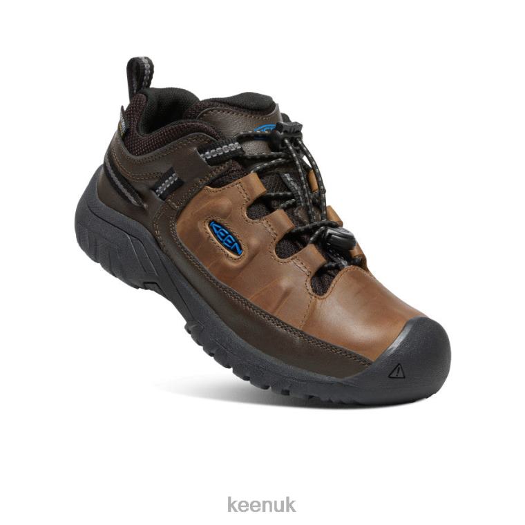 Footwear KEEN Targhee Waterproof Shoe Coffee Bean/Bison Big Kids Z2D88841