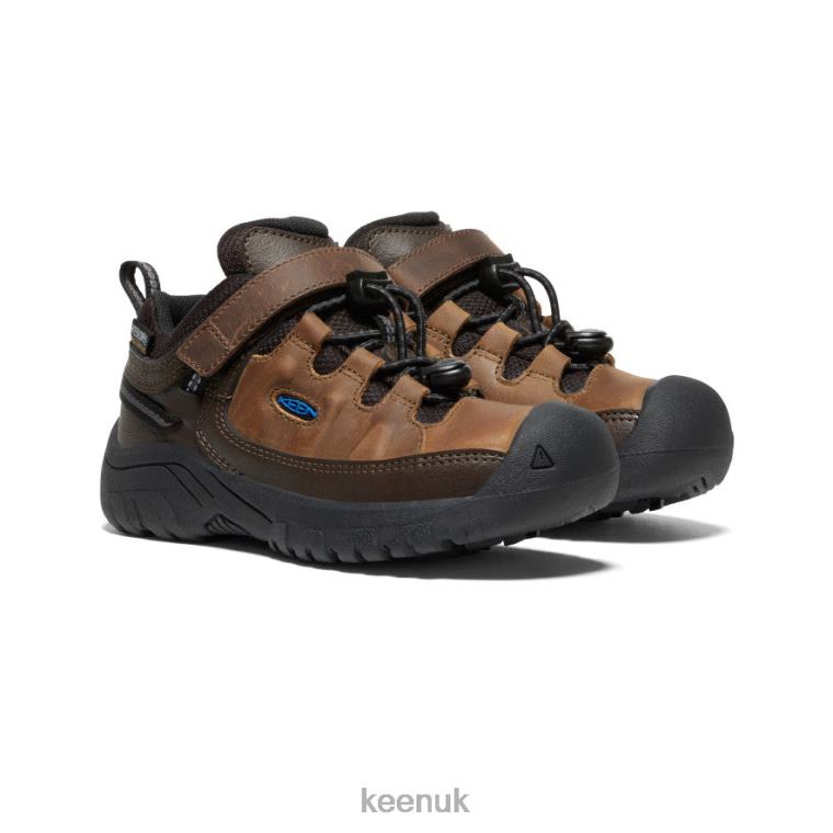 Footwear KEEN Targhee Waterproof Shoe Coffee Bean/Bison Little Kids Z2D88911