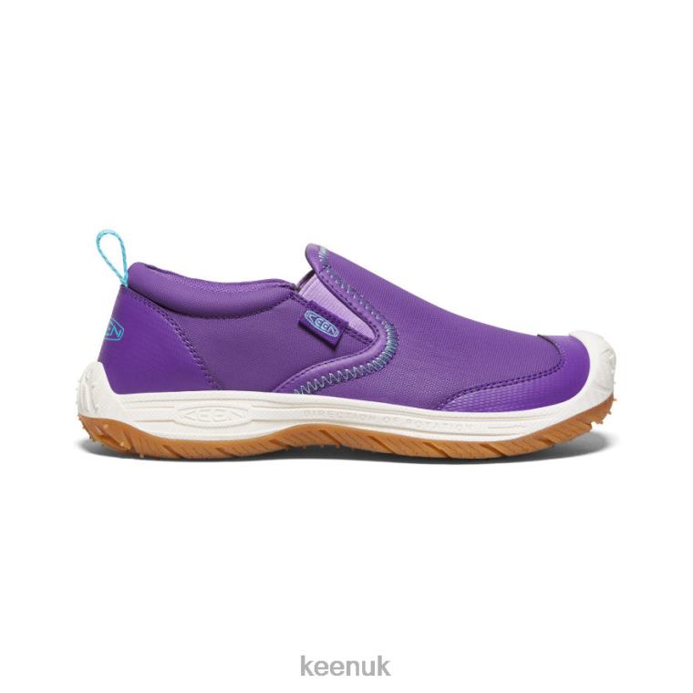 Footwear KEEN Speed Hound Slip-On Tillandsia Purple/Ipanema Big Kids Z2D88719