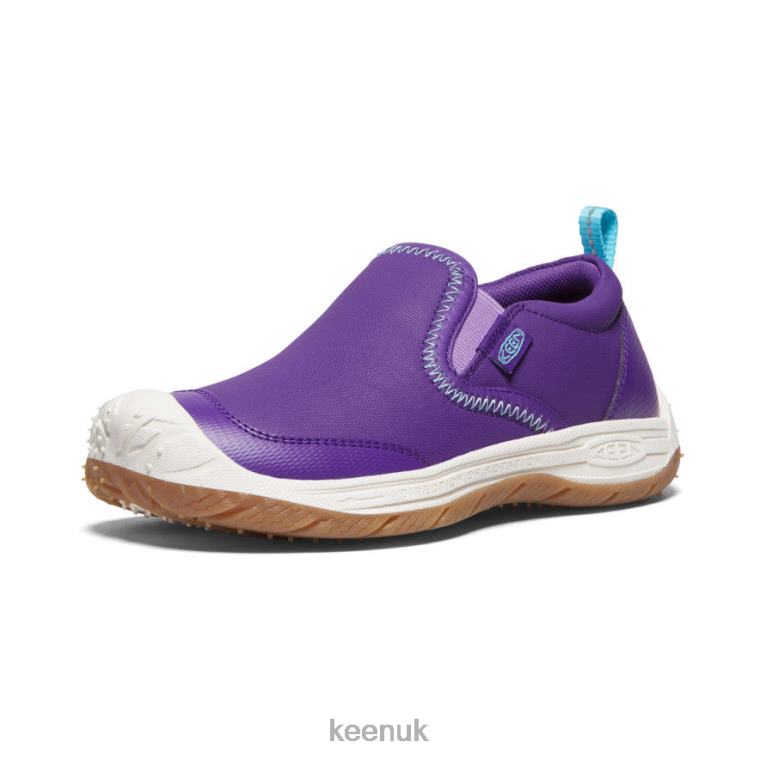 Footwear KEEN Speed Hound Slip-On Tillandsia Purple/Ipanema Big Kids Z2D88719