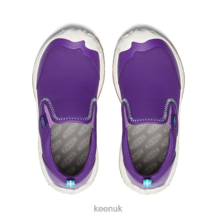 Footwear KEEN Speed Hound Slip-On Tillandsia Purple/Ipanema Big Kids Z2D88719