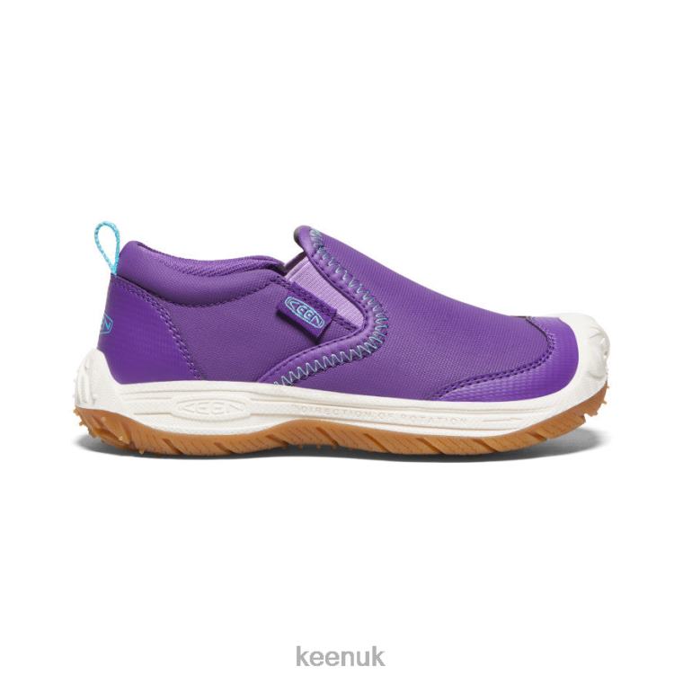 Footwear KEEN Speed Hound Slip-On Tillandsia Purple/Ipanema Little Kids Z2D88715
