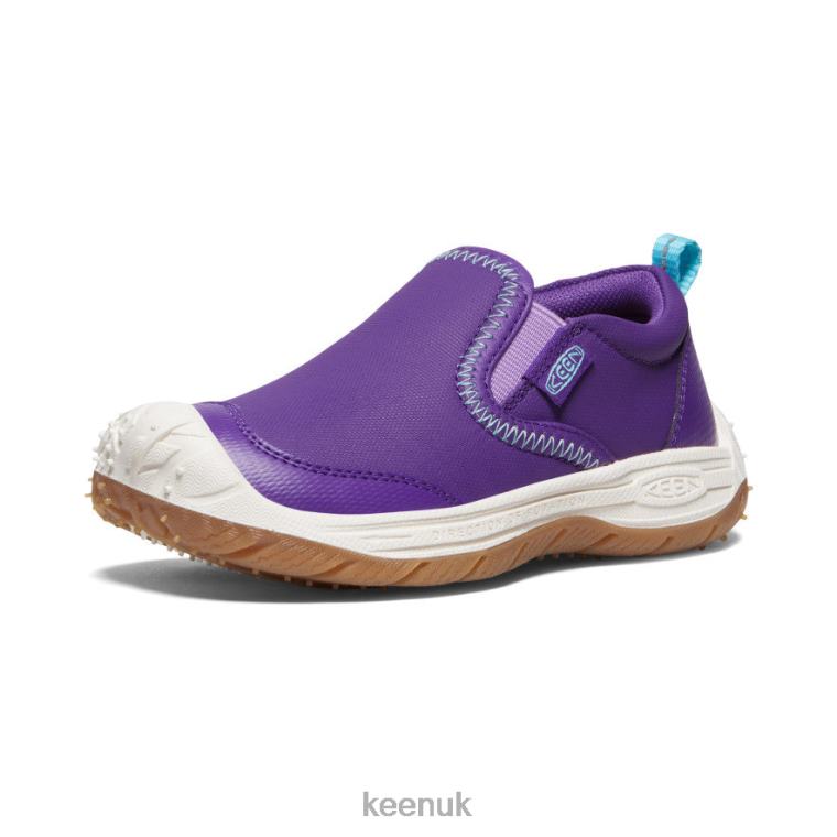 Footwear KEEN Speed Hound Slip-On Tillandsia Purple/Ipanema Little Kids Z2D88715