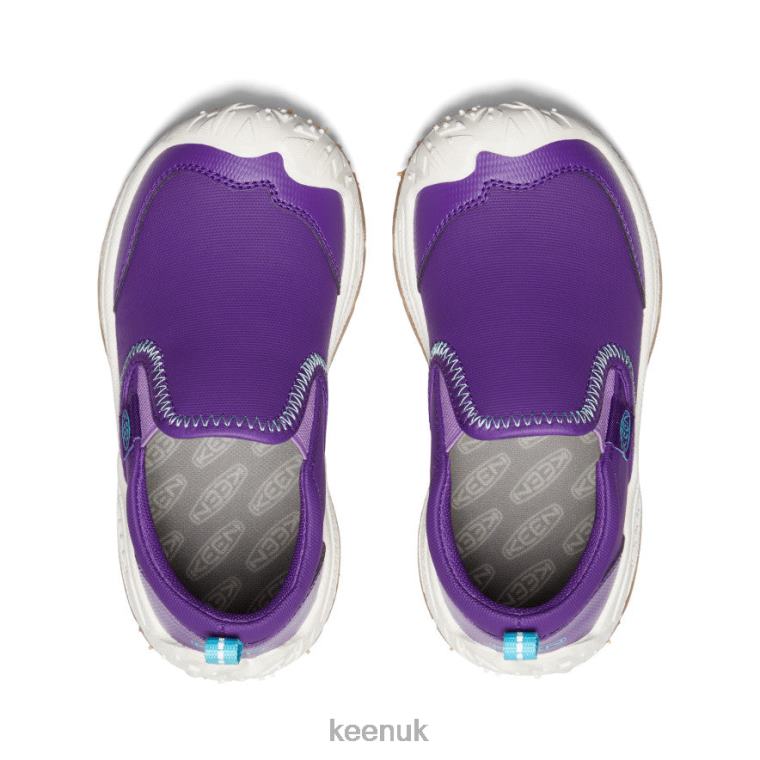 Footwear KEEN Speed Hound Slip-On Tillandsia Purple/Ipanema Little Kids Z2D88715
