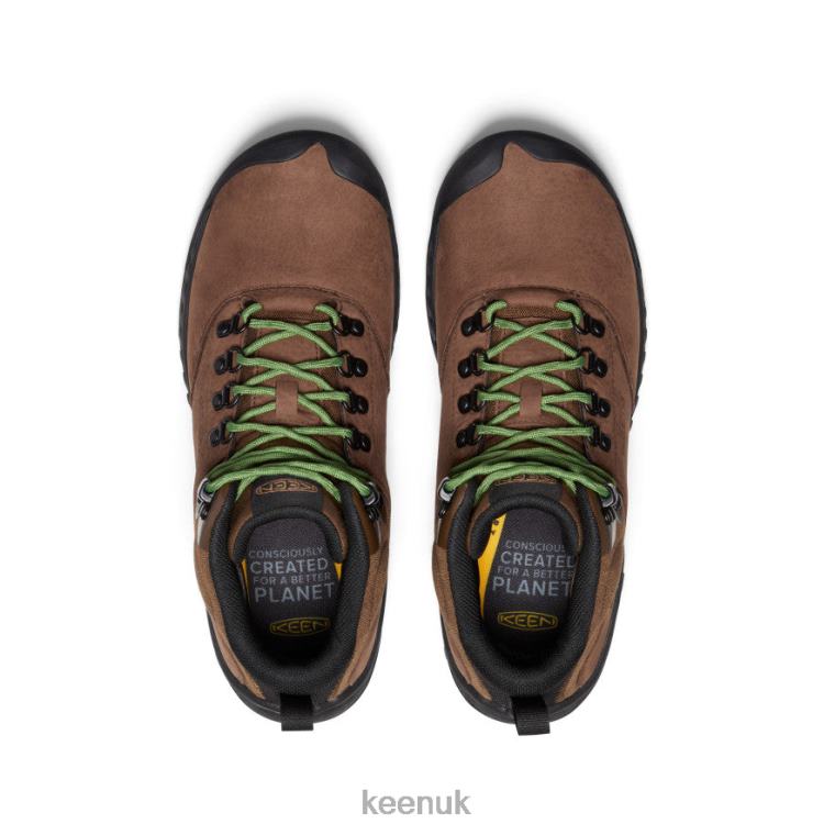 Footwear KEEN NXIS Explorer Waterproof Boot Bison/Campsite Men Z2D8812