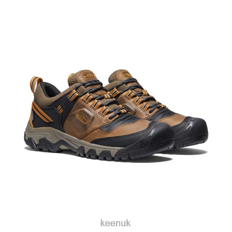 Footwear KEEN Ridge Flex Waterproof Bison/Golden Brown Men Z2D88250