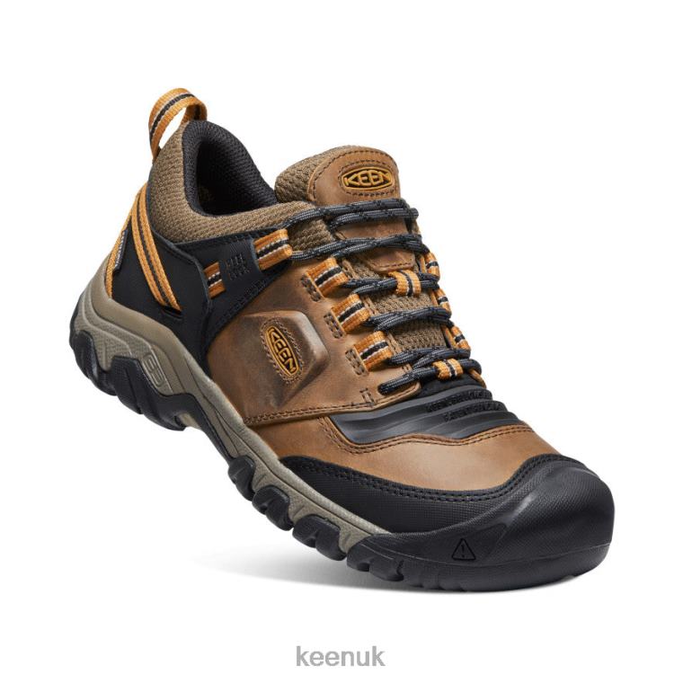 Footwear KEEN Ridge Flex Waterproof Bison/Golden Brown Men Z2D88250