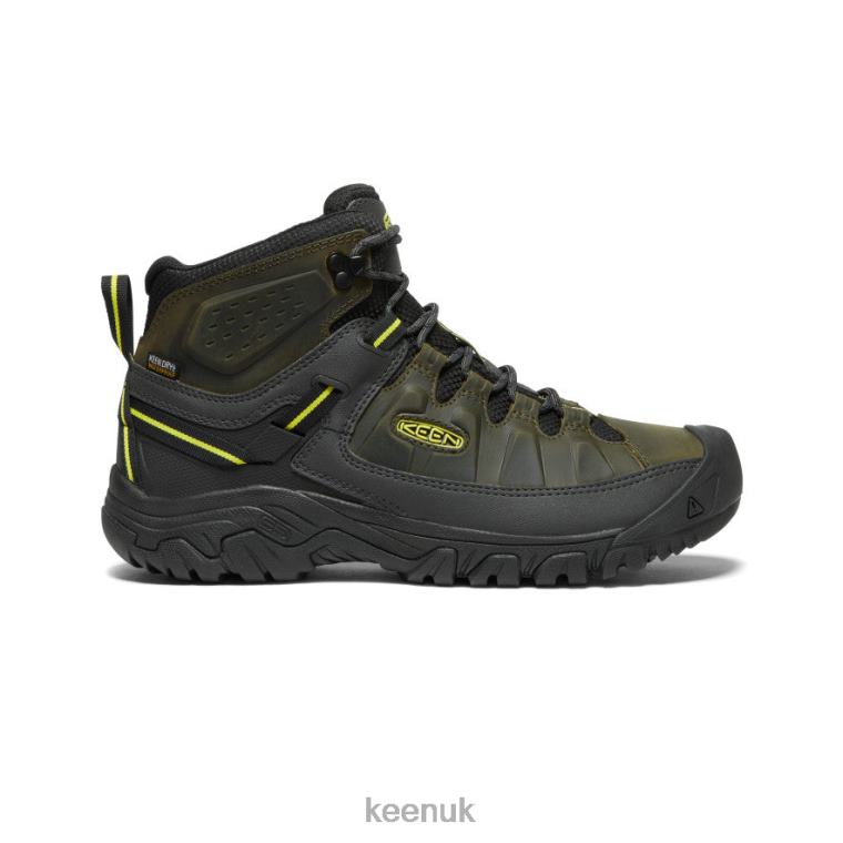 Footwear KEEN Targhee III Waterproof Mid Forest Night/Evening Primrose Men Z2D88227