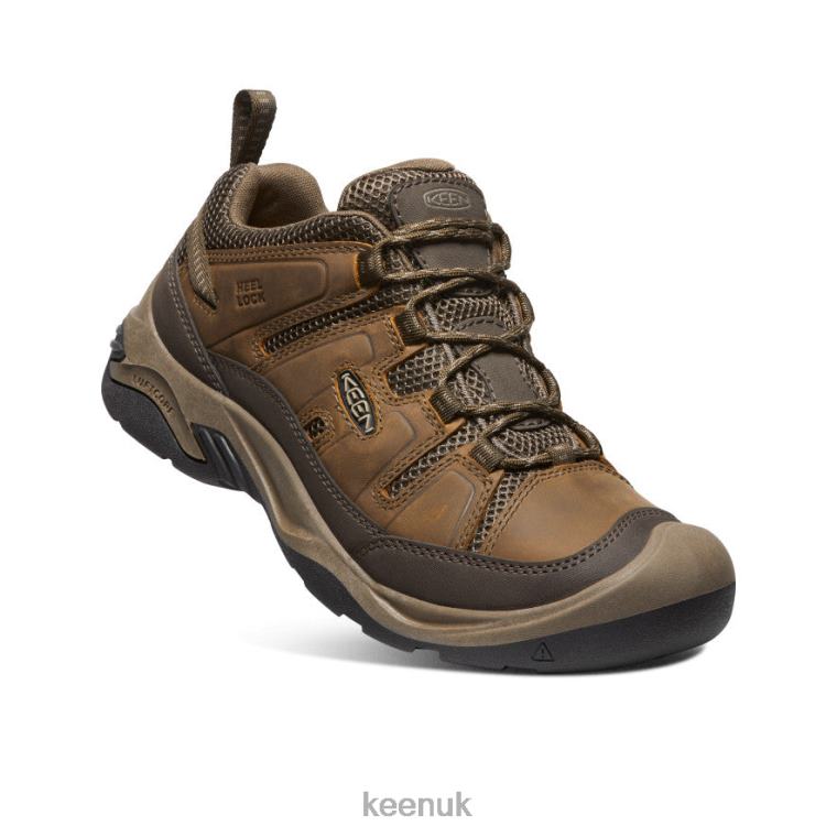 Footwear KEEN Circadia Vent Shoe Shitake/Brindle Men Z2D88172