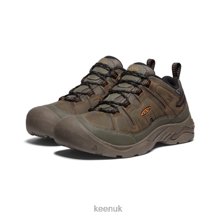 Footwear KEEN Circadia Waterproof Shoe Canteen/Curry Men Z2D88104