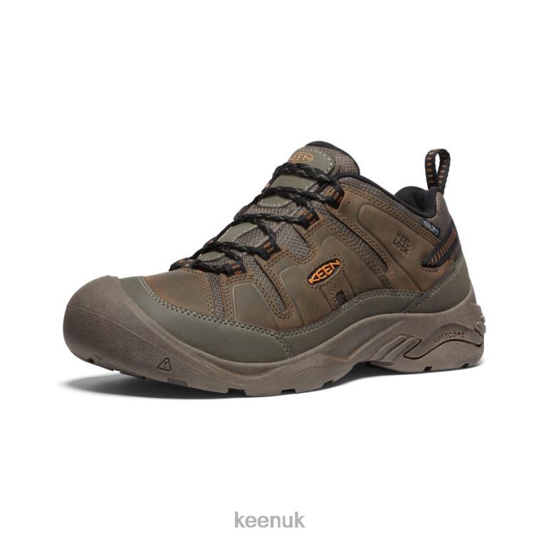 Footwear KEEN Circadia Waterproof Shoe Canteen/Curry Men Z2D88104