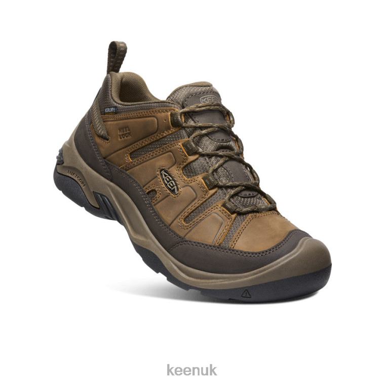 Footwear KEEN Circadia Waterproof Shoe Shitake/Brindle Men Z2D88101