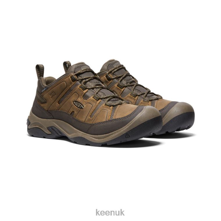 Footwear KEEN Circadia Waterproof Shoe Wide Shitake/Brindle Men Z2D88162
