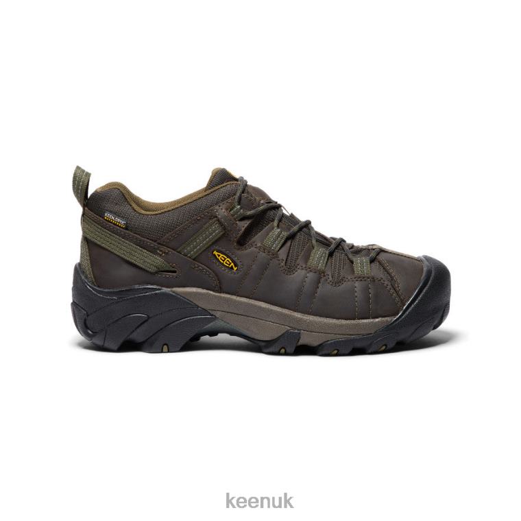 Footwear KEEN Targhee II Waterproof Canteen/Dark Olive Men Z2D88208