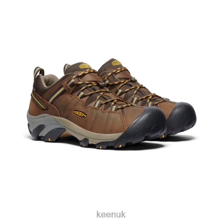 Footwear KEEN Targhee II Waterproof Cascade Brown/Golden Yellow Men Z2D88206