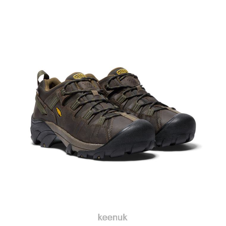 Footwear KEEN Targhee II Waterproof Wide Canteen/Dark Olive Men Z2D88293