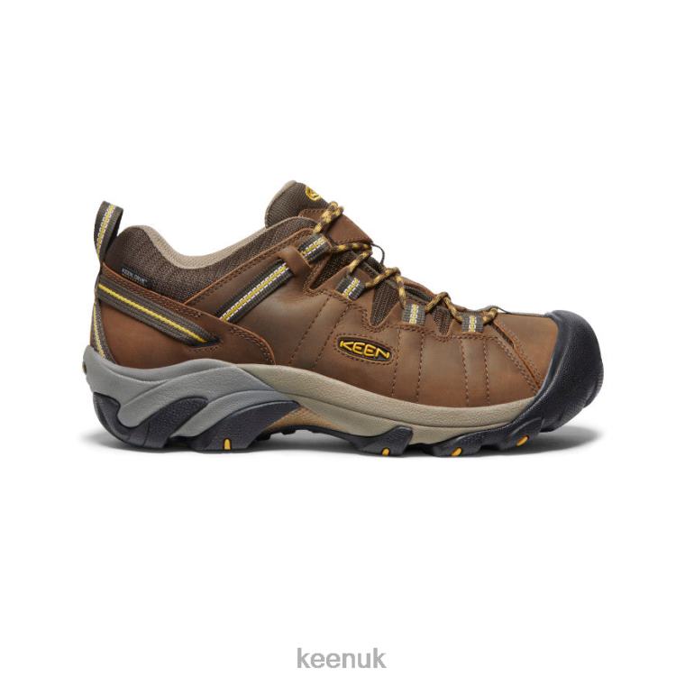 Footwear KEEN Targhee II Waterproof Wide Cascade Brown/Golden Yellow Men Z2D88294