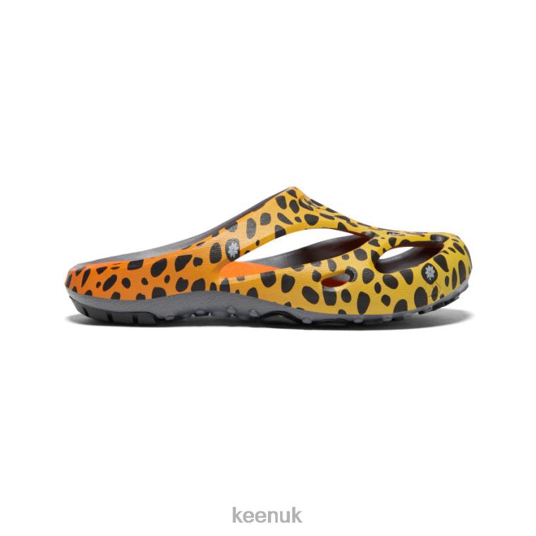 Footwear KEEN Shanti Arts THC Cheetah Rainbow Men Z2D88130