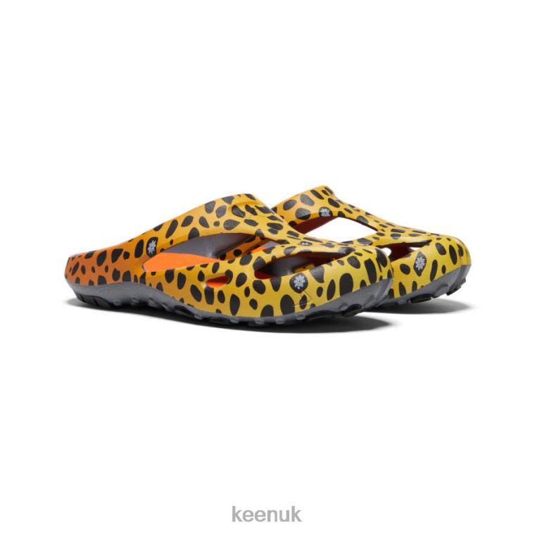 Footwear KEEN Shanti Arts THC Cheetah Rainbow Men Z2D88130