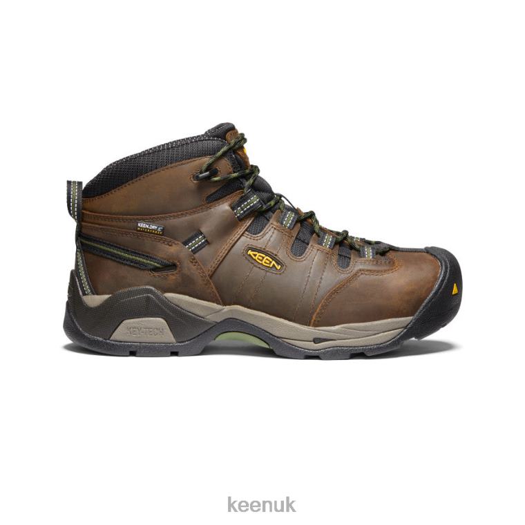 Footwear KEEN Detroit XT Waterproof Boot (Steel Toe) Cascade Brown/Bronze Green Men Z2D88245