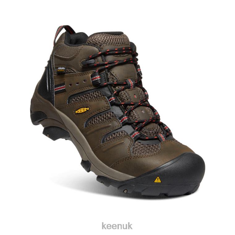 Footwear KEEN Lansing Mid Waterproof (Steel Toe) Cascade Brown/Brindle Men Z2D8892