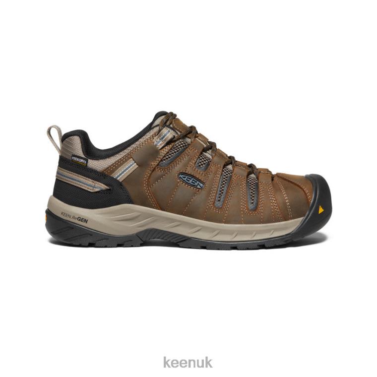 Footwear KEEN Flint II Waterproof (Steel Toe) Cascade Brown/Orion Blue Men Z2D88280