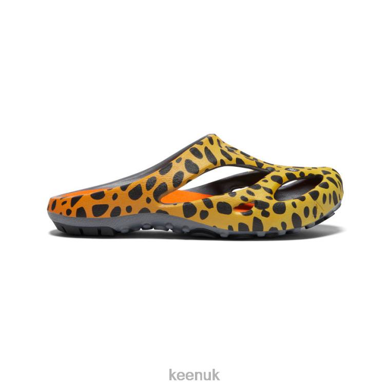 Footwear KEEN Shanti Arts Thc Cheetah Rainbow Women Z2D88670
