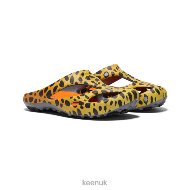 Footwear KEEN Shanti Arts Thc Cheetah Rainbow Women Z2D88670